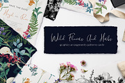 Wild Flowers And Herbs. Graphic Set