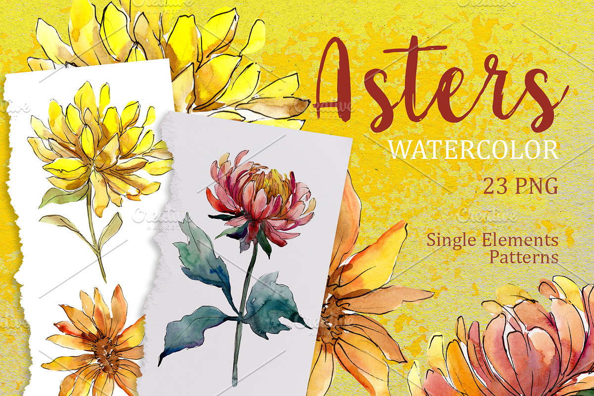 Yellow Watercolor Asters PNG set in Illustrations - product preview 8