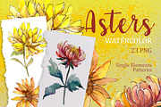 Yellow Watercolor Asters PNG set