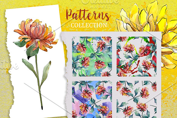 Yellow Watercolor Asters PNG set in Illustrations - product preview 1