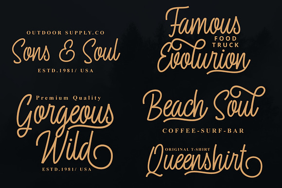 Fasterox Script in Script Fonts - product preview 4