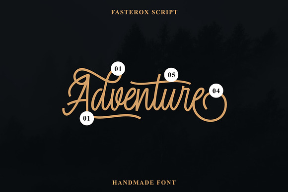 Fasterox Script in Script Fonts - product preview 5
