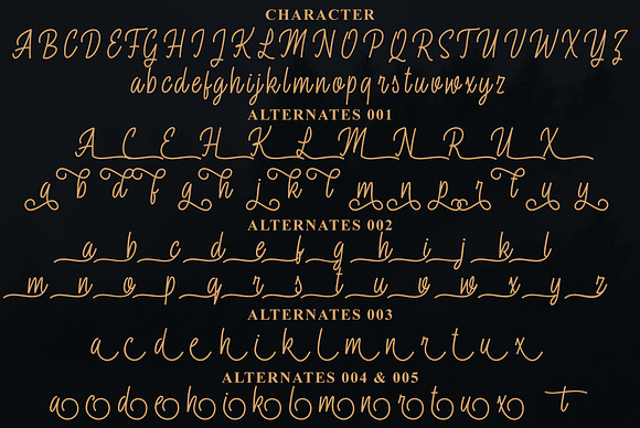 Fasterox Script in Script Fonts - product preview 6