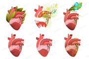 Healthy realistic heart collection