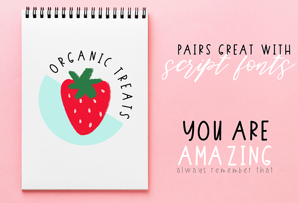 Berry Harvest Font & Extras in Sans-Serif Fonts - product preview 6
