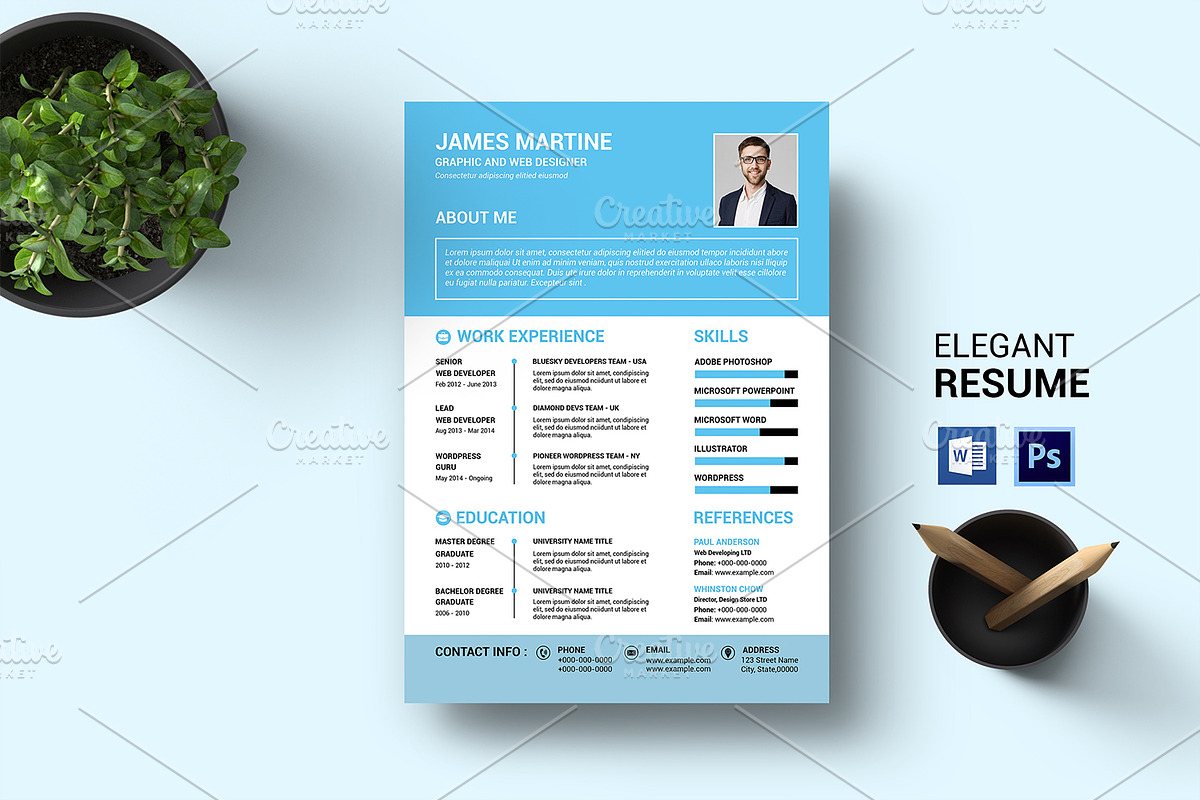 Clean Resume V48 in Resume Templates - product preview 8