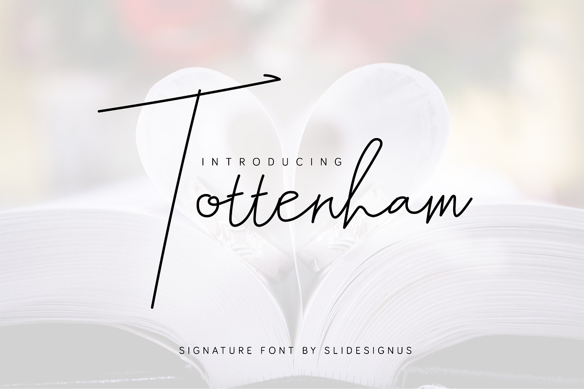 Tottenham Script Signature in Script Fonts - product preview 8