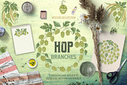 Hop branches. Vector collection