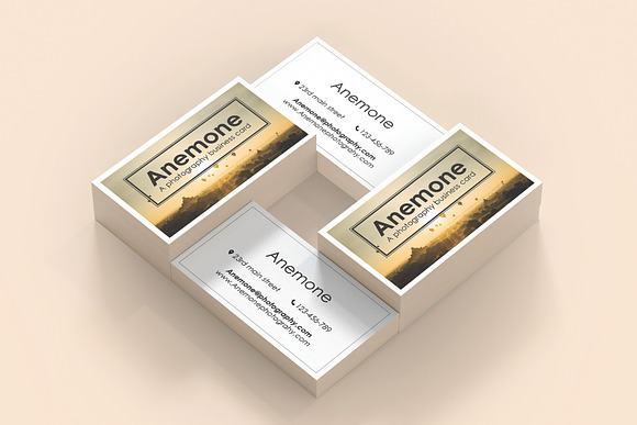 Business Card Template Bundle in Business Card Templates - product preview 7