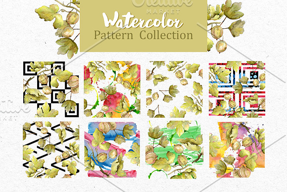 Watercolor Gooseberry PNG collection in Illustrations - product preview 1