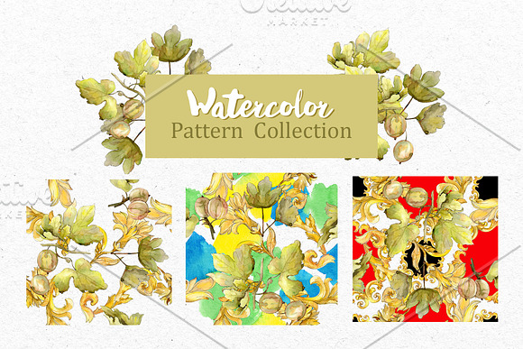 Watercolor Gooseberry PNG collection in Illustrations - product preview 2
