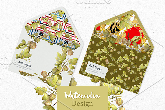 Watercolor Gooseberry PNG collection in Illustrations - product preview 3