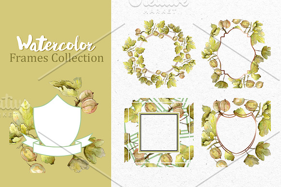 Watercolor Gooseberry PNG collection in Illustrations - product preview 5