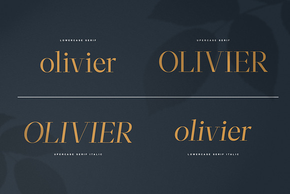 Moriarty Serif Font in Serif Fonts - product preview 3