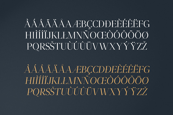 Moriarty Serif Font in Serif Fonts - product preview 8