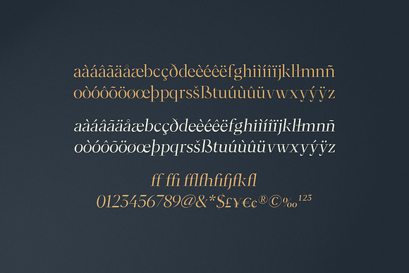 Moriarty Serif Font in Serif Fonts - product preview 9