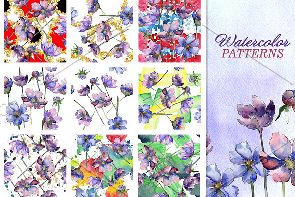 Cosmos flowers Watercolor png in Illustrations - product preview 2