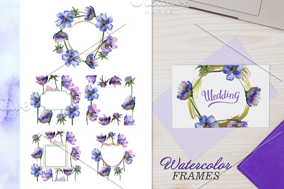 Cosmos flowers Watercolor png in Illustrations - product preview 3