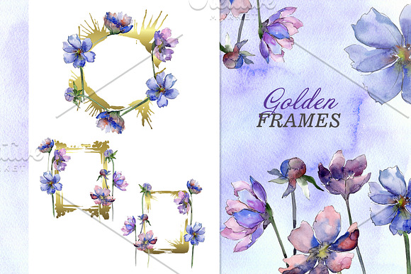 Cosmos flowers Watercolor png in Illustrations - product preview 4