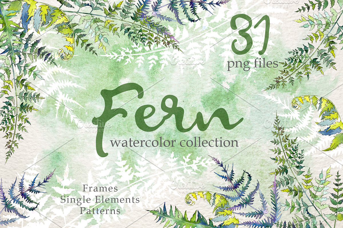 Fern Watercolor png in Illustrations - product preview 8