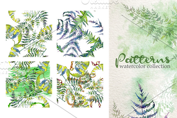 Fern Watercolor png in Illustrations - product preview 1