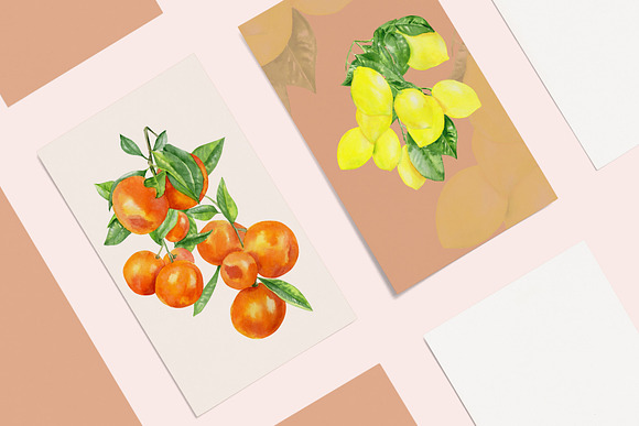 Watercolor citrus set in Illustrations - product preview 1