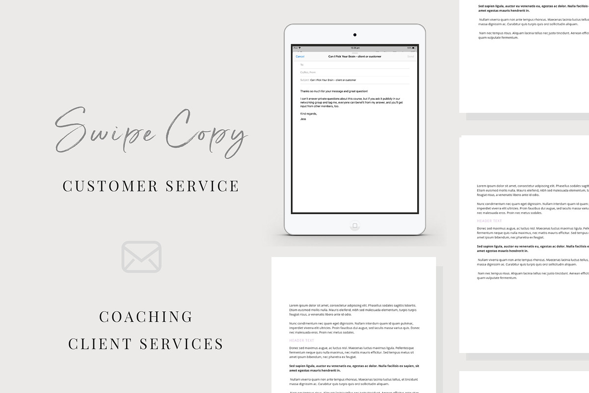 Email Swipe-Copy | Client Services in Email Templates - product preview 8