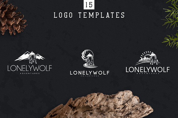 4in1 Wild Collection - PS and Ai in Logo Templates - product preview 37