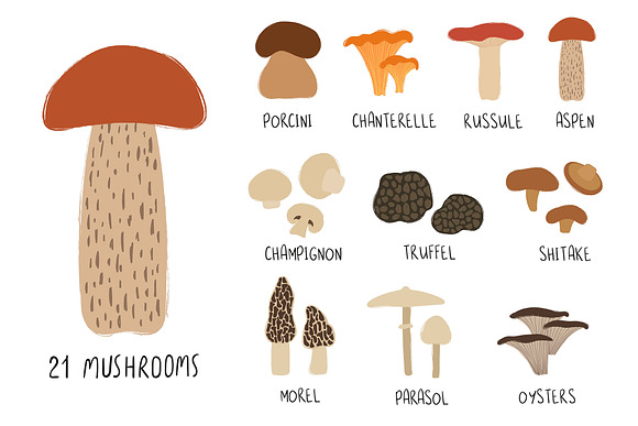 Go for Mushrooms. Forest Collection. in Graphics - product preview 1