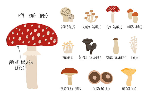 Go for Mushrooms. Forest Collection. in Graphics - product preview 2
