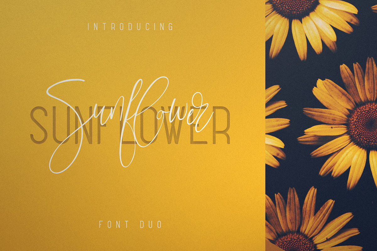 Sunflower - Font Duo in Script Fonts - product preview 8