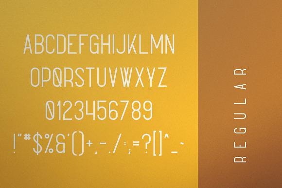 Sunflower - Font Duo in Script Fonts - product preview 8