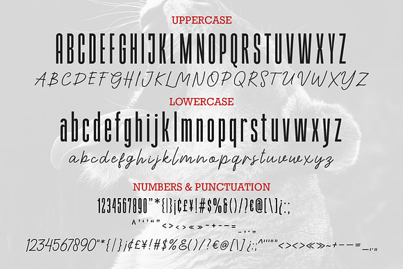 Highrush Font Duo in Display Fonts - product preview 10