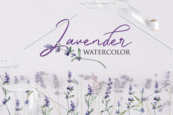 Watercolor  Lavender PNG collection in Illustrations - product preview 1
