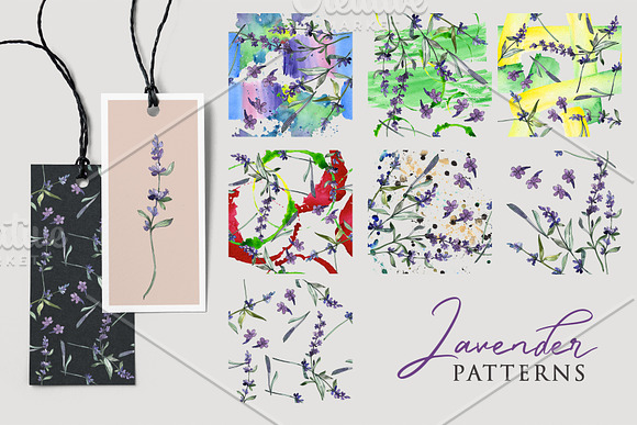 Watercolor  Lavender PNG collection in Illustrations - product preview 4