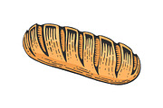 Bread loaf color sketch engraving