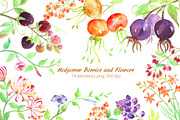 Watercolor Hedgerow Clipart