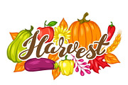 Harvest festival background.