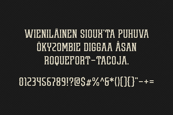 Redsniper Vintage Font in Display Fonts - product preview 8