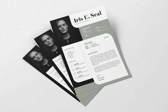 Minimalist CV Resume AI and PSD 6 in Letter Templates - product preview 2