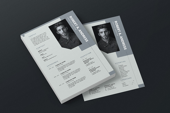 Minimalist CV Resume AI and PSD 11 in Letter Templates - product preview 1