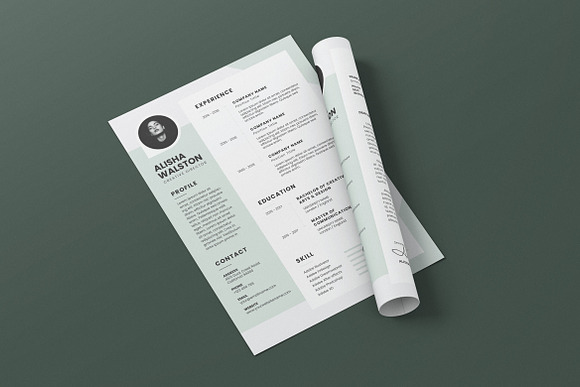 Minimalist CV Resume AI and PSD 15 in Letter Templates - product preview 1