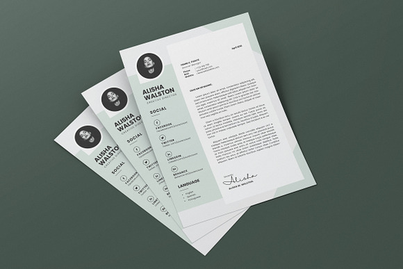 Minimalist CV Resume AI and PSD 15 in Letter Templates - product preview 3