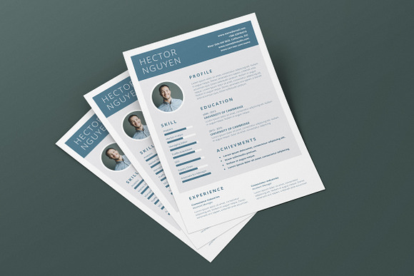 Minimalist CV Resume AI and PSD 23 in Letter Templates - product preview 5