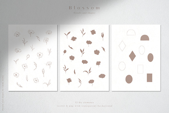 Blossom Sketched Florals & Shapes in Illustrations - product preview 1