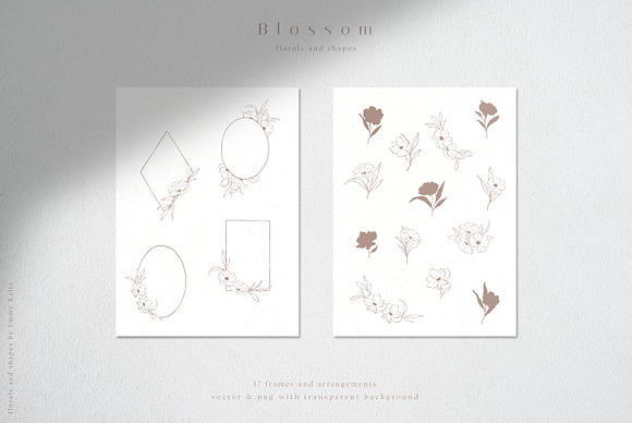 Blossom Sketched Florals & Shapes in Illustrations - product preview 3