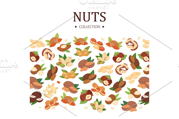 Nuts collection poster, flat cartoon