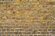 Lightly green moulded brick wall
