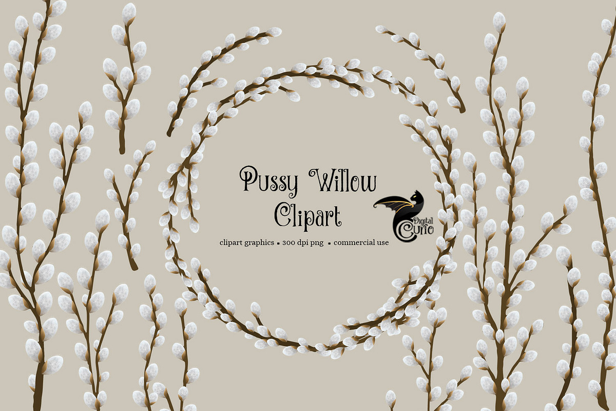 Pussy Willow Clipart in Illustrations - product preview 8