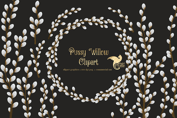 Pussy Willow Clipart in Illustrations - product preview 1